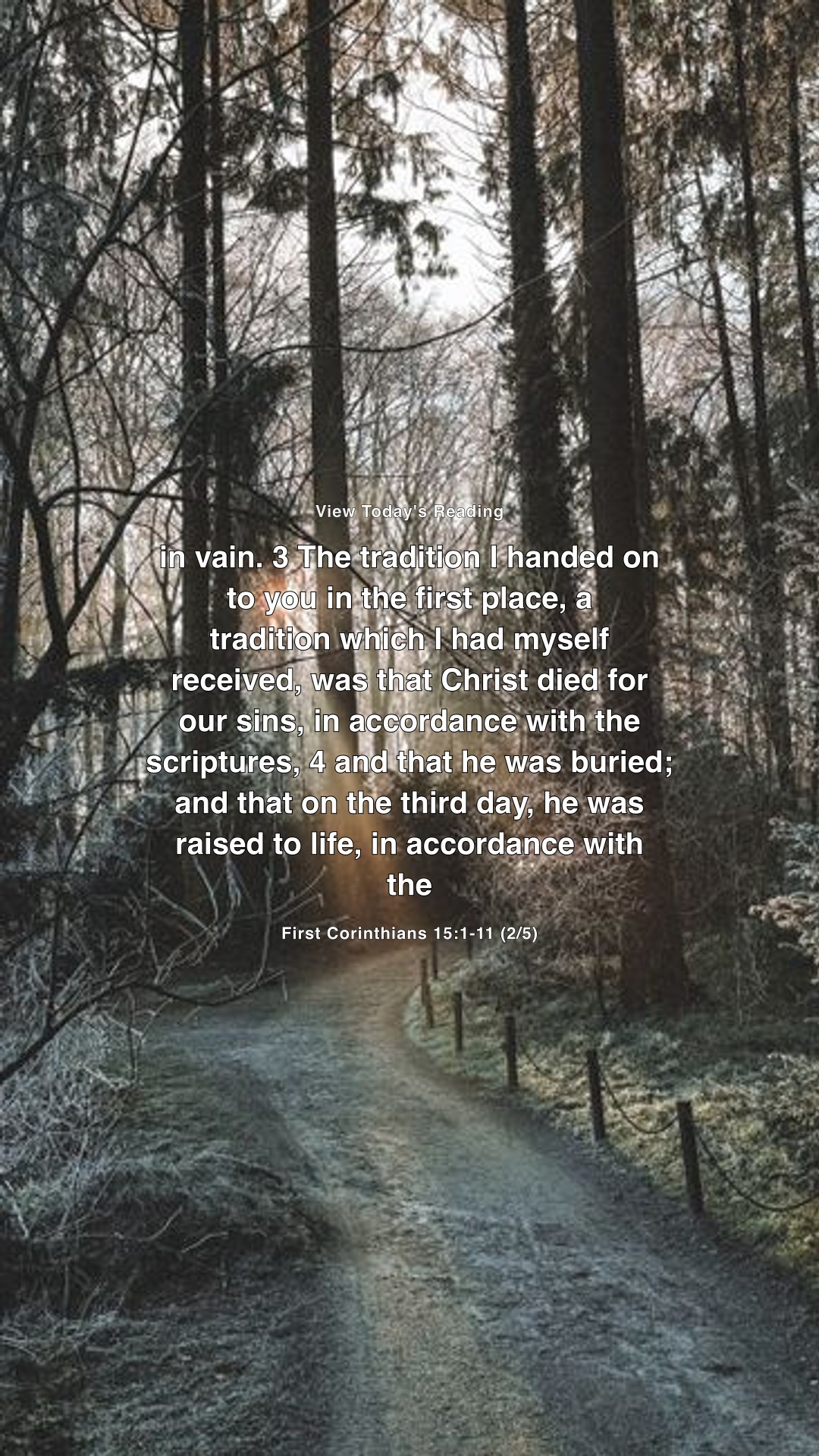 Faith Today: Grace and Forgiveness — Share 2