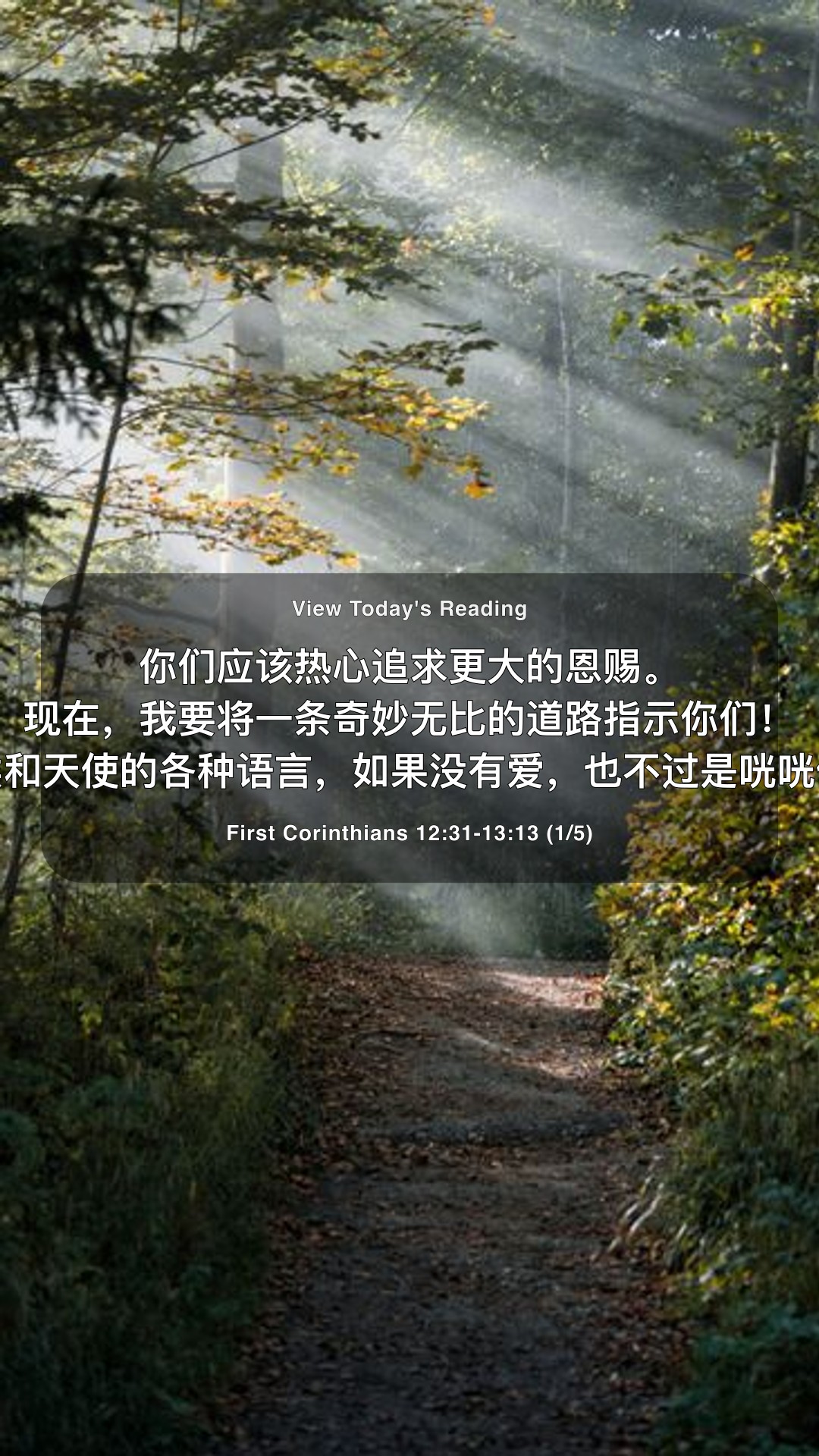 今日信仰: 选择爱，胜过一切 — 分享 1