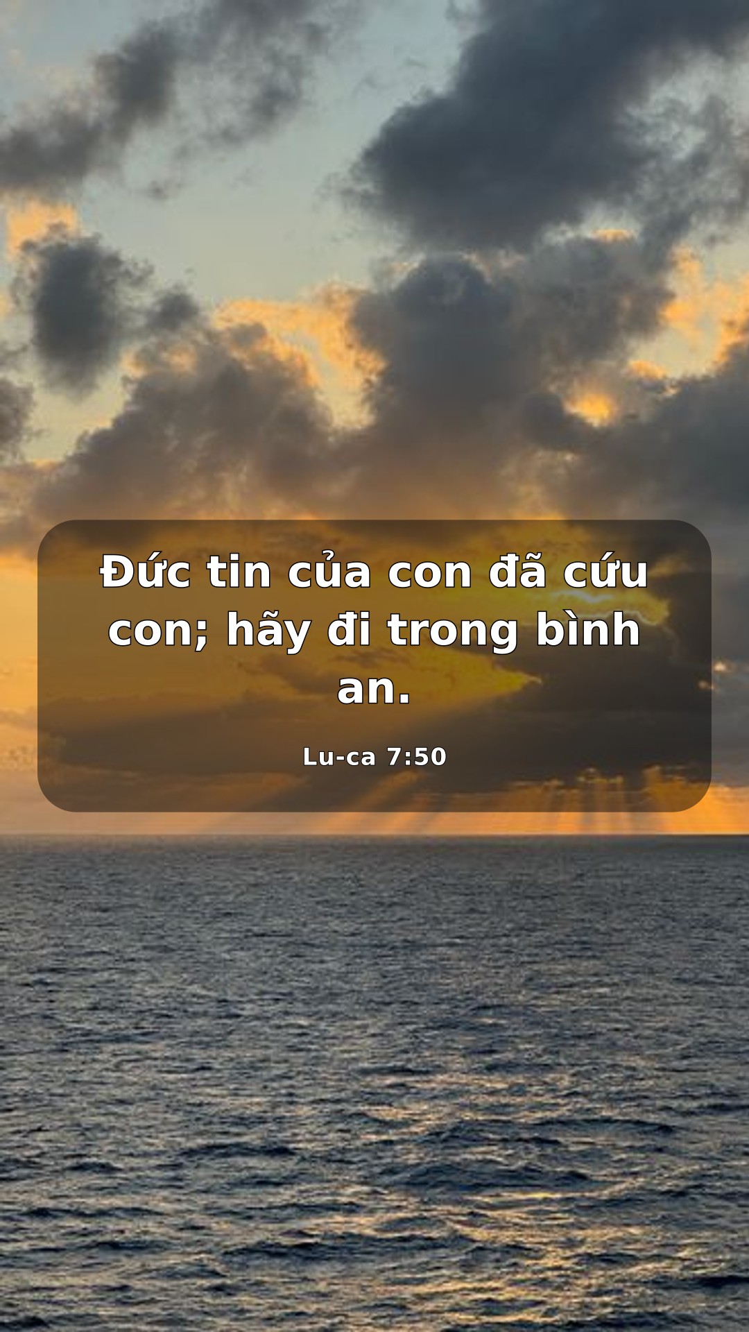 Đức Tin Hôm Nay: Ân sủng và thứ tha — Chia sẻ 1