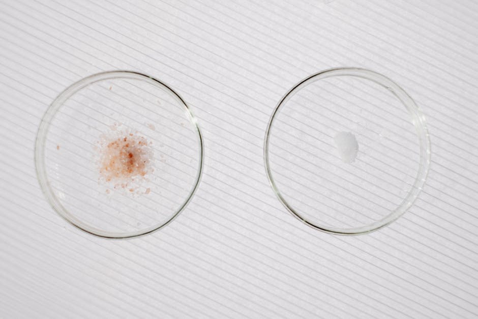 Cover Image for ASEAN Skincare Ingredient Transparency: Real-Time Certificate Comparison Tools For Singapore, Manila, And Jakarta (2026 Guide)