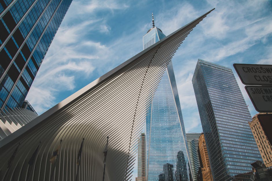 Cover Image for A New Era in Transatlantic Trade: Analyzing the Impact of the U.S.-EU Trade Pact