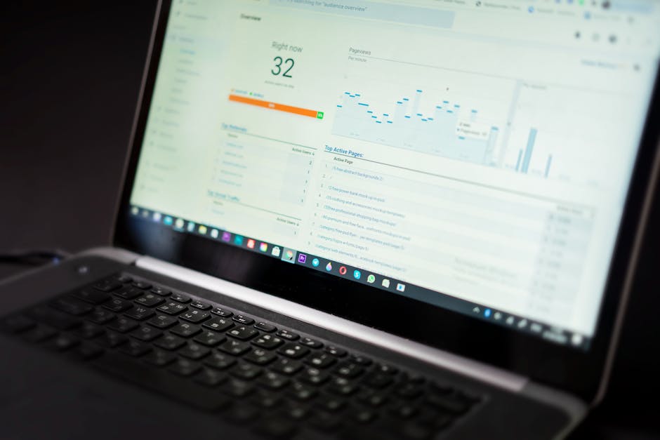 Cover Image for The Evolution of SEO and Email Marketing: Navigating Through 2025