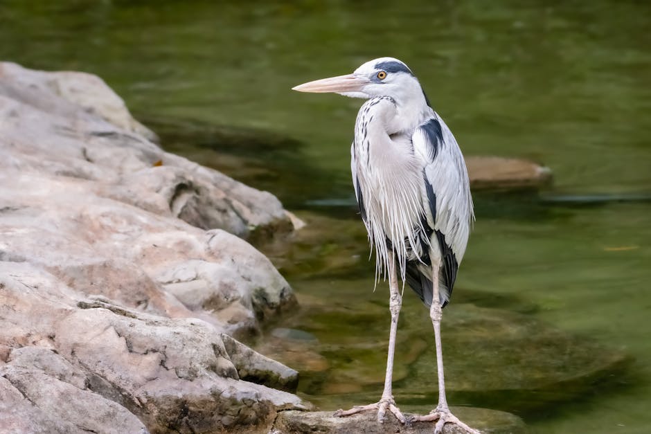 Cover Image for How ZUS Coffees Digital-First Loyalty Ecosystem Is Disrupting Southeast Asias F&B Industry: Data, Gamification, And Rapid Regional Expansion In 2025
