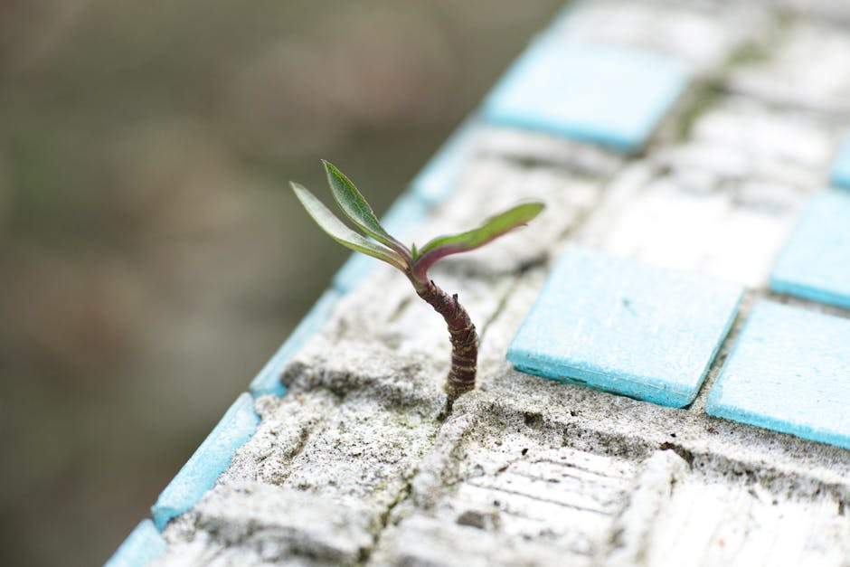 Cover Image for Navigating New Waters: The Power of Mentorship in Small Business Survival and Growth
