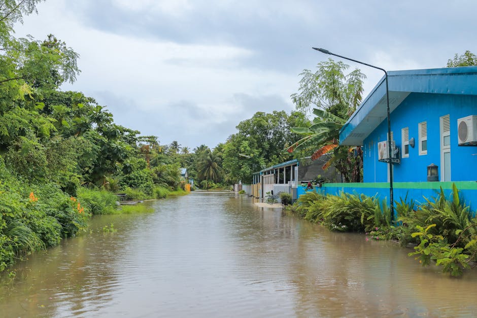 Cover Image for Safeguarding Singapore Homes: Coastal Protection Bill, Flood Insurance Tips, And Smart Upgrades For Condo & HDB Owners
