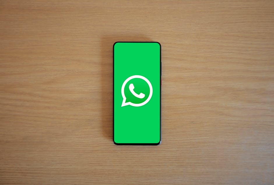 Cover Image for How Jaipurs SMBs Are Outpacing Rivals: The 2026 WhatsApp Commerce Playbook Driving 60% Conversions & 300% ROI In India
