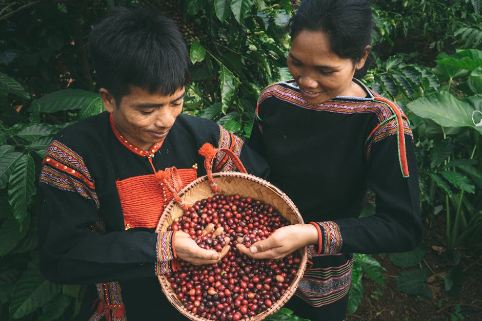 Cover Image for Digital Innovation Transforms Vietnams Central Highlands Coffee: How AI Empowers 600,000 Smallholders In Buon Ma Thuot And Beyond
