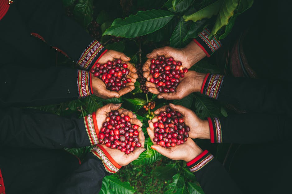 Cover Image for How Southeast Asias Coffee Boom Is Powering Sustainable Skincare: Insights From Indonesia, Vietnam, And Thailand For Business Leaders