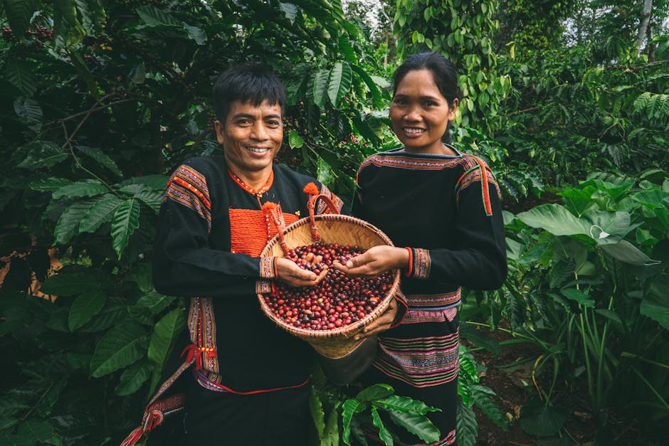 Cover Image for ZUS Coffees Southeast Asia Expansion: How Direct Trade Empowers Farmers In Malaysia, Philippines, Indonesia, Thailand, Singapore & Brunei For Sustainable Growth