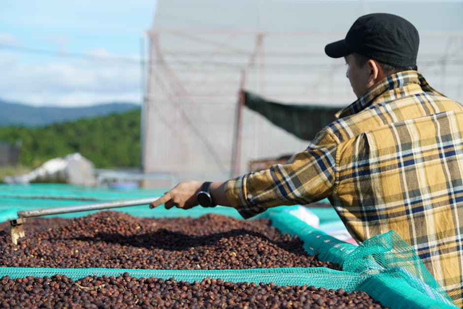 Cover Image for How Đắk Lắk, Lâm Đồng, And Gia Lai Farmers Can Lead Vietnams Tech-Driven Coffee Revolution: Key Steps, Platforms, And 2026 Market Insights