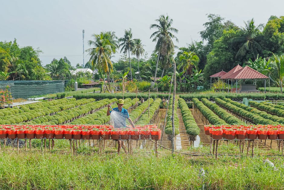 Cover Image for How Southeast Asias Coffee-Tech Startups Are Revolutionizing Smallholder Farmer Incomes, Market Transparency, And Climate Resilience In 2025