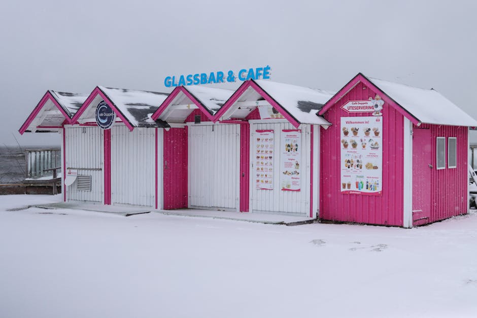 Cover Image for Adapting Seasonal Tourism to Thrive in 2025