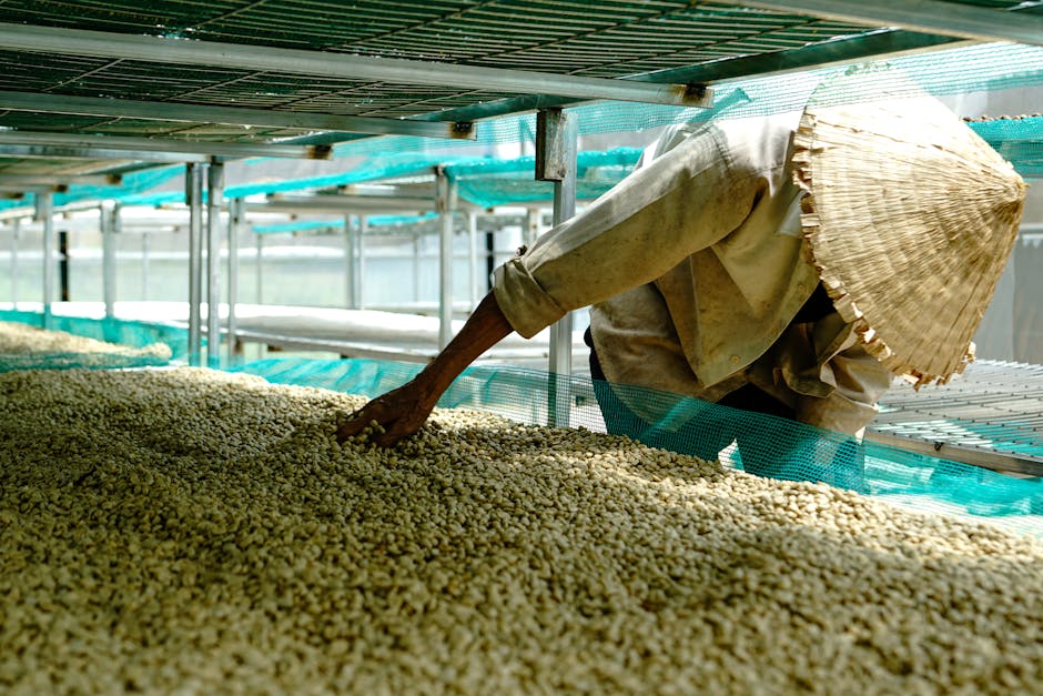 Cover Image for ZUS Coffee's Meteoric Rise: Scaling New Heights In Southeast Asia's Coffee Industry