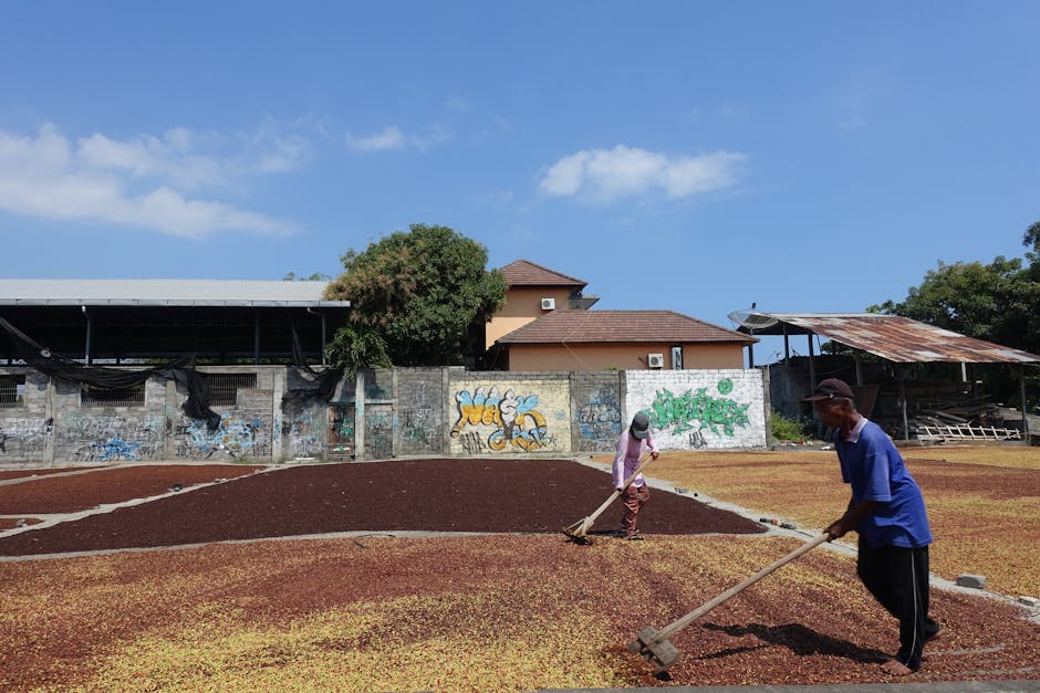 Cover Image for Zus Coffees Digital Disruption: How Malaysias Fastest-Growing Chain Is Redefining Urban Coffee Culture Across Southeast Asia