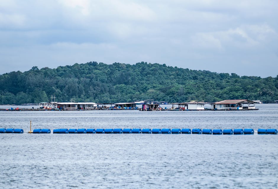 Cover Image for 2026 Singapore EC Launch Guide: Affordable, Helper-Friendly Homes In Tengah, Pasir Ris & Sembawang For Savvy Household Managers