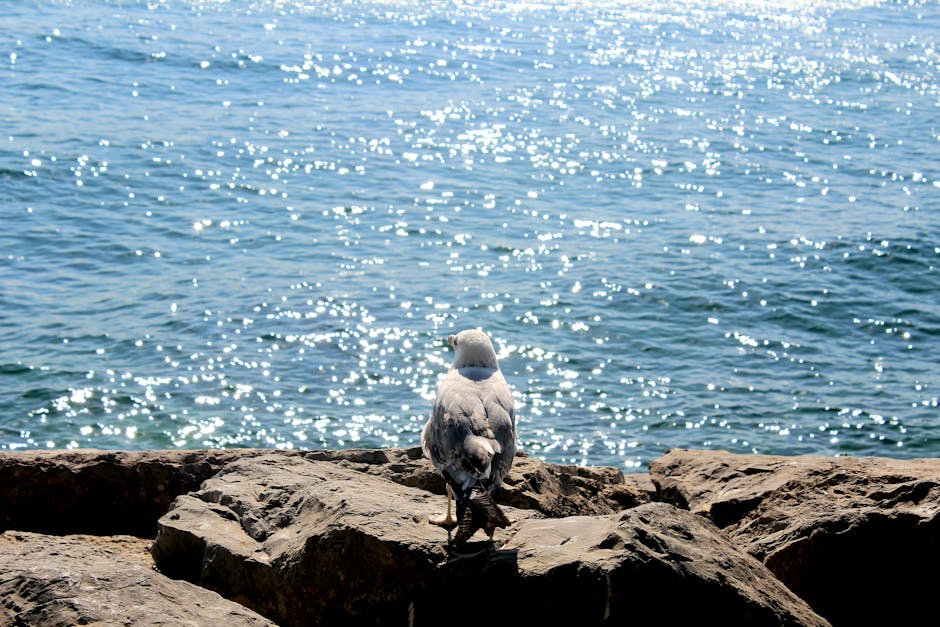 (UNVERIFIED) Free $35 From NEO, Just Sign Up For Ana Count And Deposit