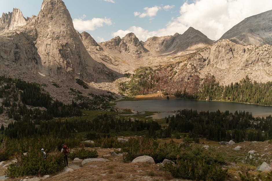 Cover Image for Unveiling the Strategic Benefits and Implications of Wyoming LLCs