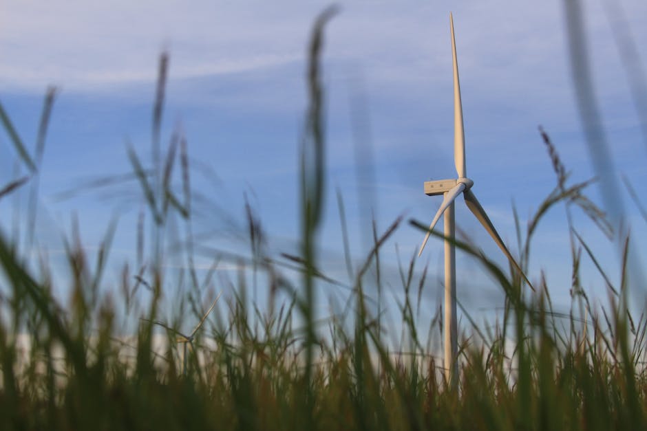 Cover Image for Vietnam Coffee Industry 2025: Market Trends, Export Growth, And Sustainable Innovation Driving An $8 Billion Future