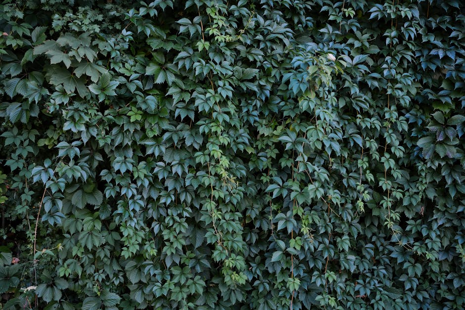 Wegovy Ozempic Mounjaro Discount Code 