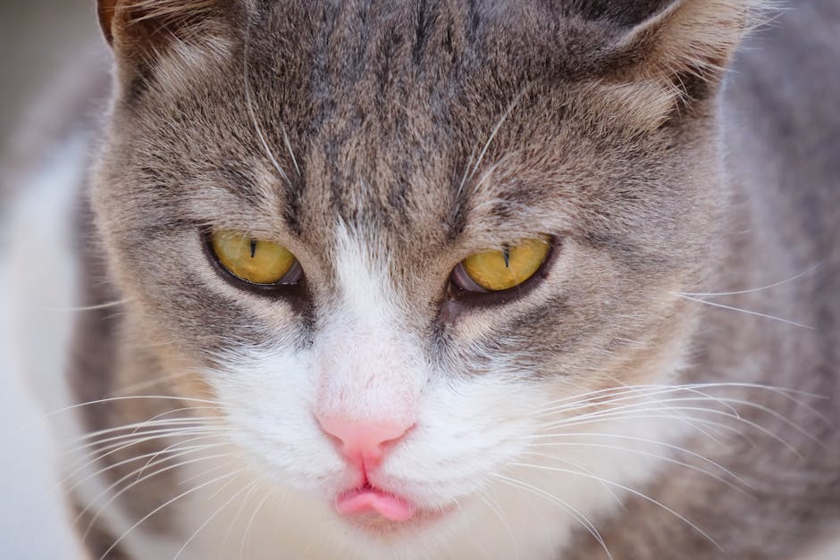 Cover Image for Punggol & Sengkang 2026: Essential Smart Home Tech Tools To Automate Chores, Manage Helpers, And Maximise HDB Rebates