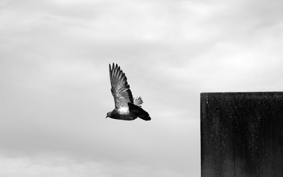 Cover Image for Sengkang & Punggol Guide: Save 30% On Cleaning With Top Residential Product Subscriptions Vs Maid Costs (2026 Comparison)