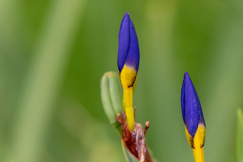 Seasonal Colour Analysis Consultants - Melb?