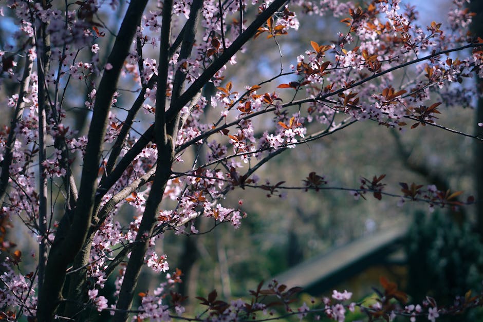 Victoria Beckham Perfume To Aus