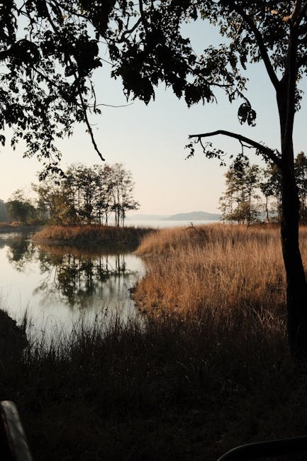 Cover Image for Challenger Banks & Fintech Partnerships 2026: Profitability Metrics, Key Players, And Embedded Finance Strategies For Global Growth