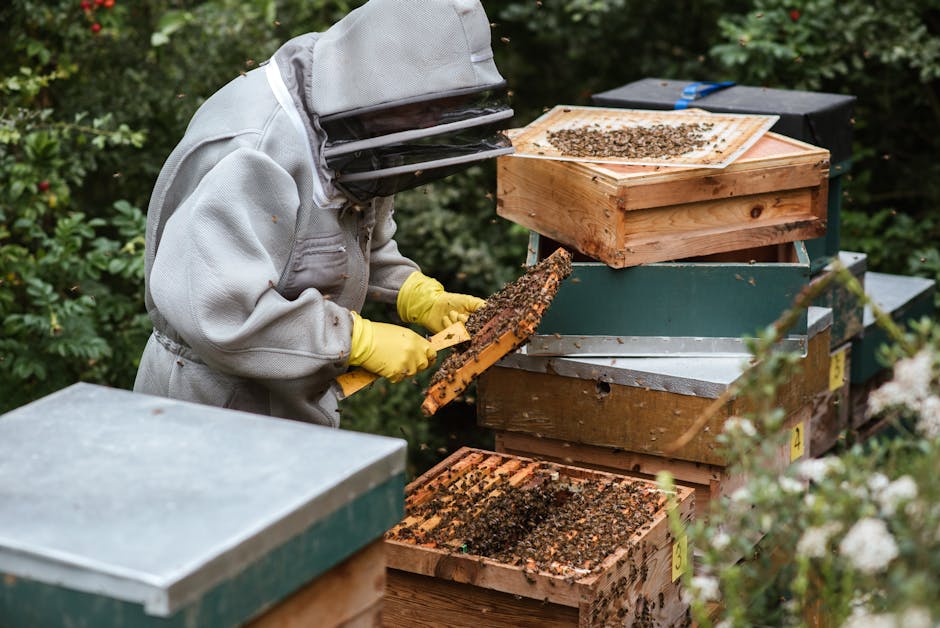 Cover Image for The Bee Revolution: Genetic Engineering's Role in Sustainable Agriculture
