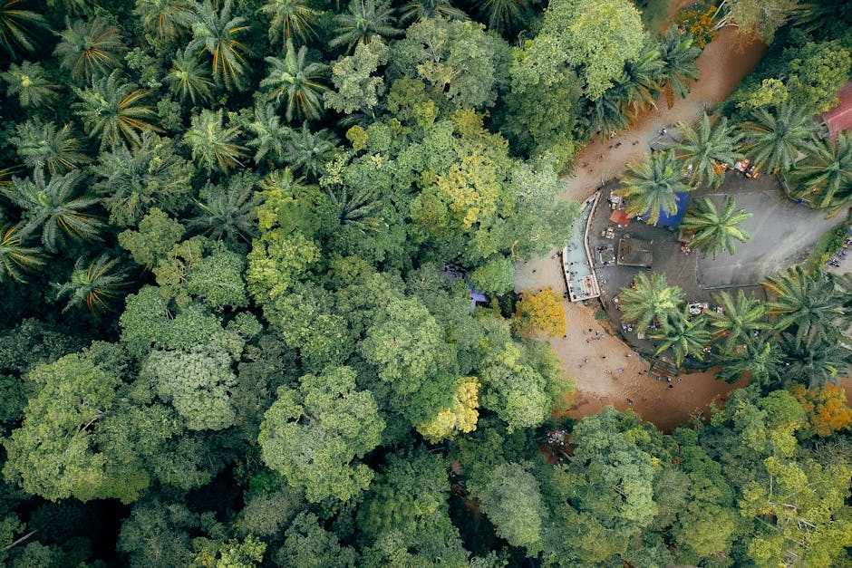 Cover Image for How ZUS Coffee Is Leveraging AI To Revolutionize Loyalty Programs In Malaysia And Singapore: Actionable Steps For 6x Revenue Growth In Southeast Asia