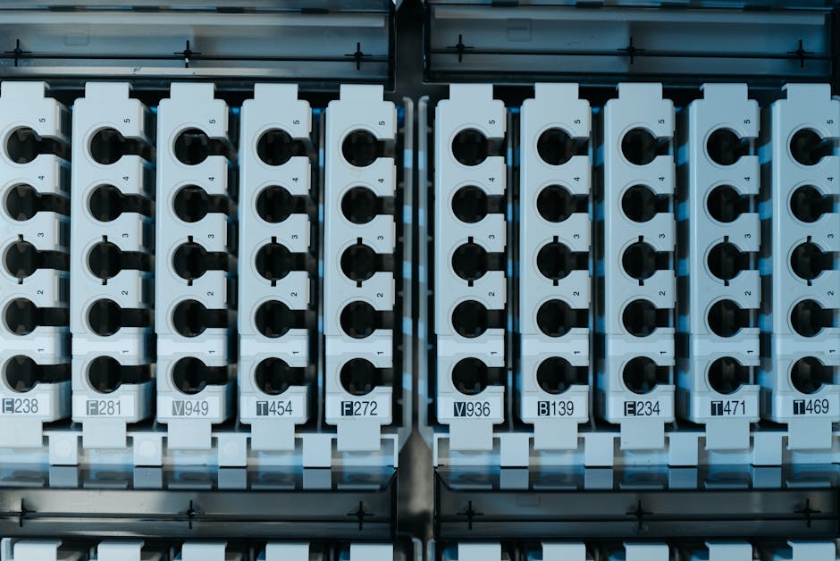 Cover Image for Revolutionizing Efficiency: The Power of Automation in the Medal and Trophy Industry